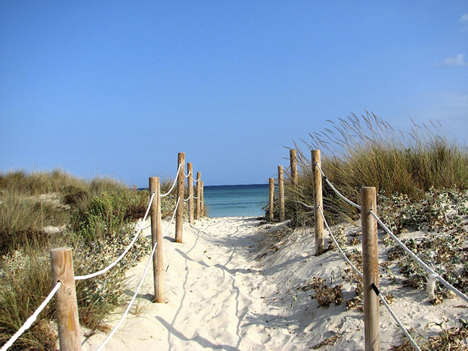 strand